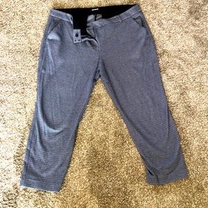 Express Dress pants
